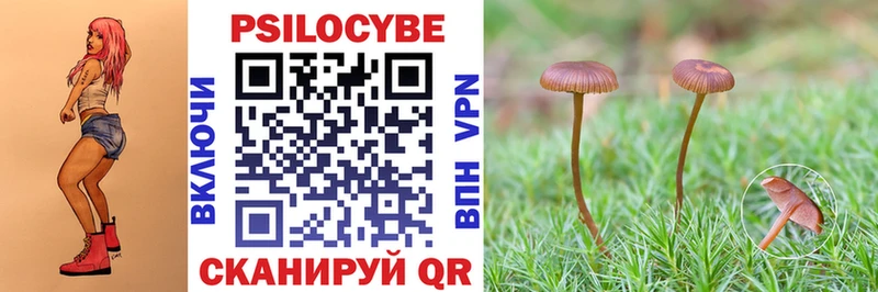 МЕГА ссылка  Луховицы  Галлюциногенные грибы GOLDEN TEACHER 